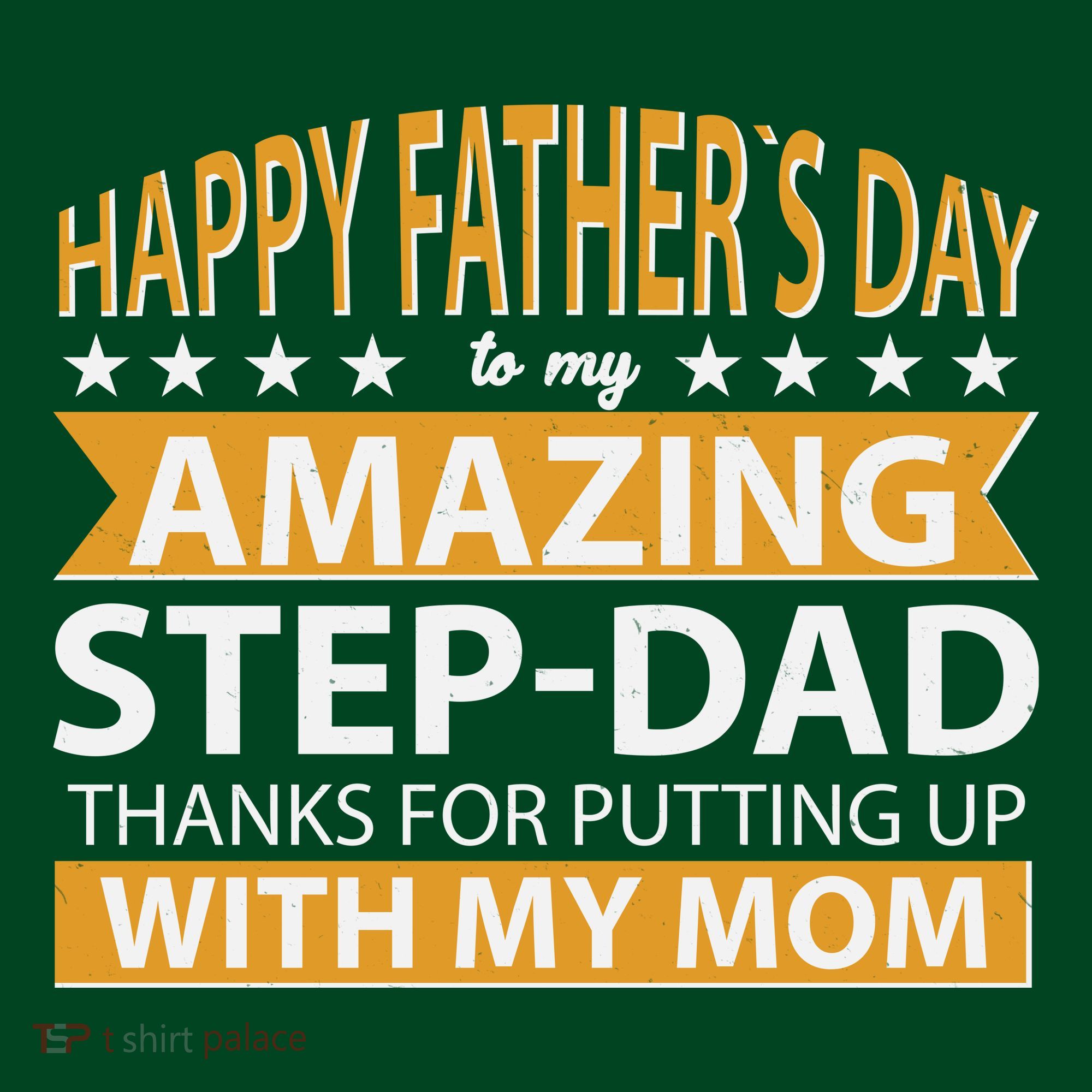 Funny Happy Father's Day To My Amazing StepDad T-Shirt