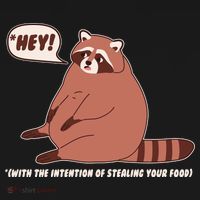 Funny Hey Fat Raccoon Stealing Your Food Women's Hoodie thumb 2