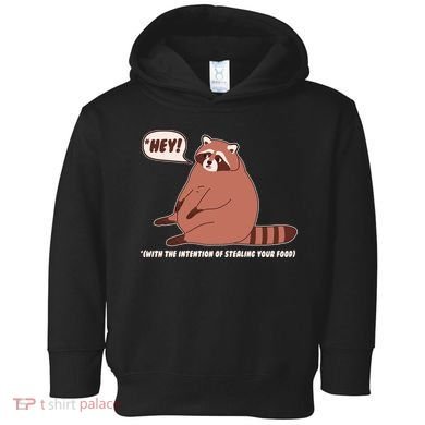 Funny Hey Fat Raccoon Stealing Your Food Toddler Hoodie