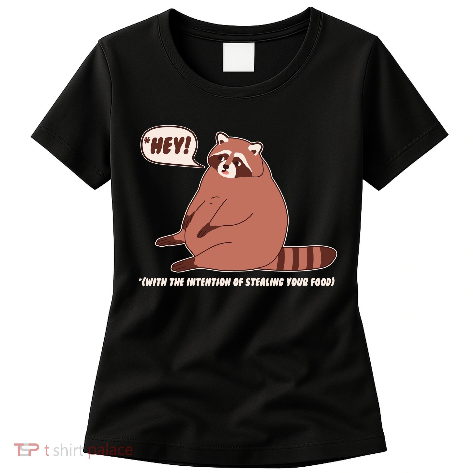 Funny Hey Fat Raccoon Stealing Your Food Women's T-Shirt