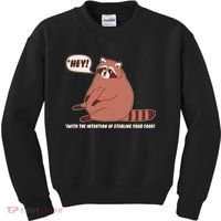 Funny Hey Fat Raccoon Stealing Your Food Kids Sweatshirt thumb 0