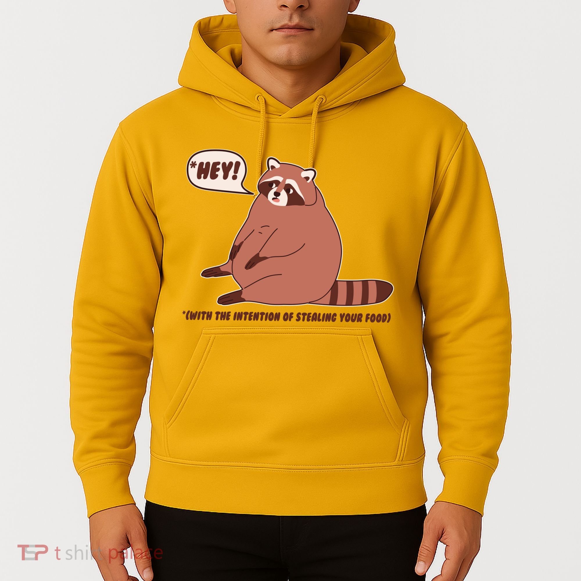 Funny Hey Fat Raccoon Stealing Your Food Hoodie