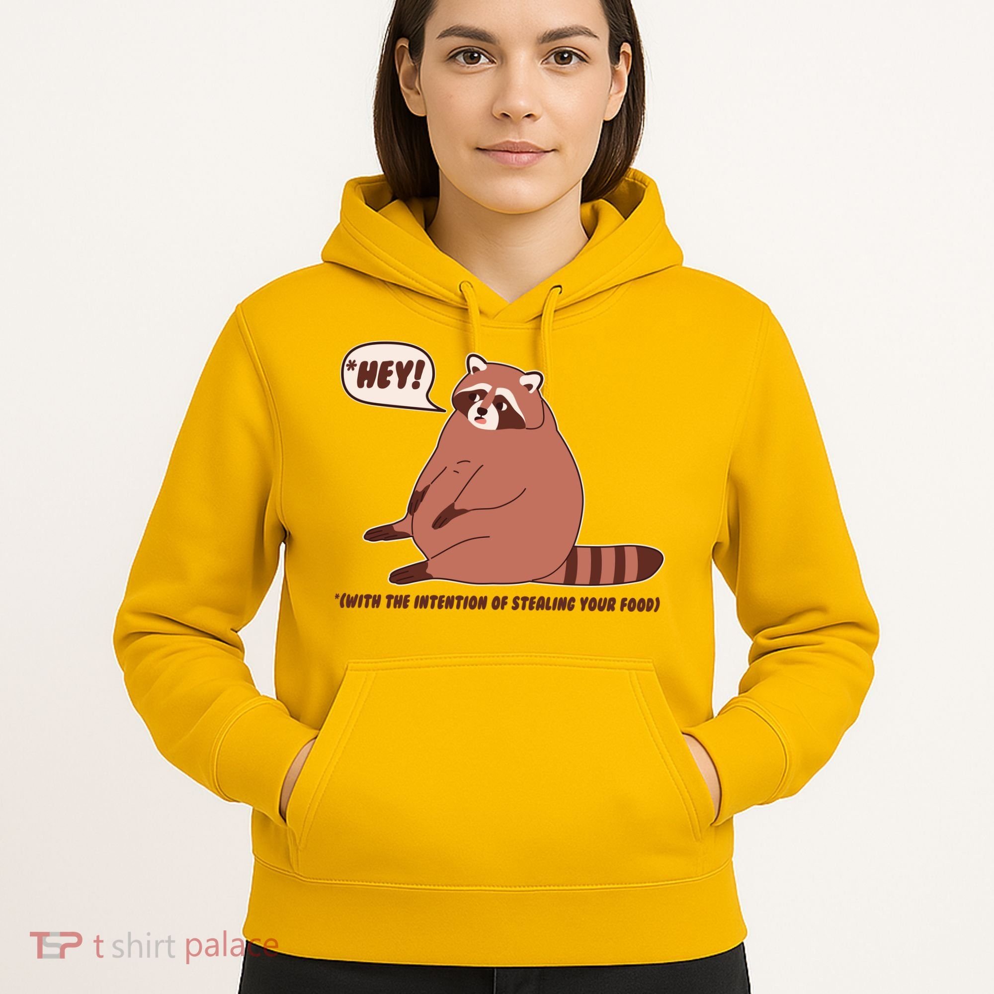 Funny Hey Fat Raccoon Stealing Your Food Hoodie