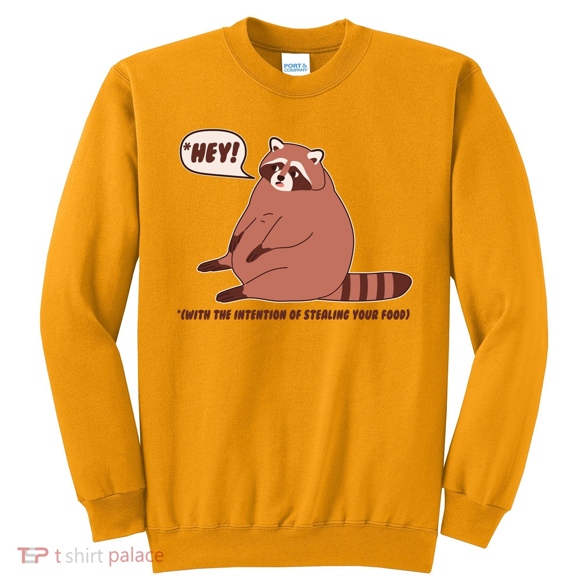 Funny Hey Fat Raccoon Stealing Your Food Sweatshirt