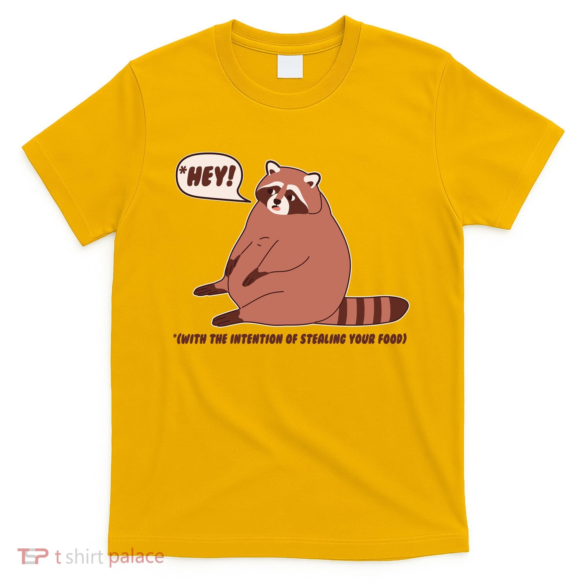 Funny Hey Fat Raccoon Stealing Your Food T-Shirt
