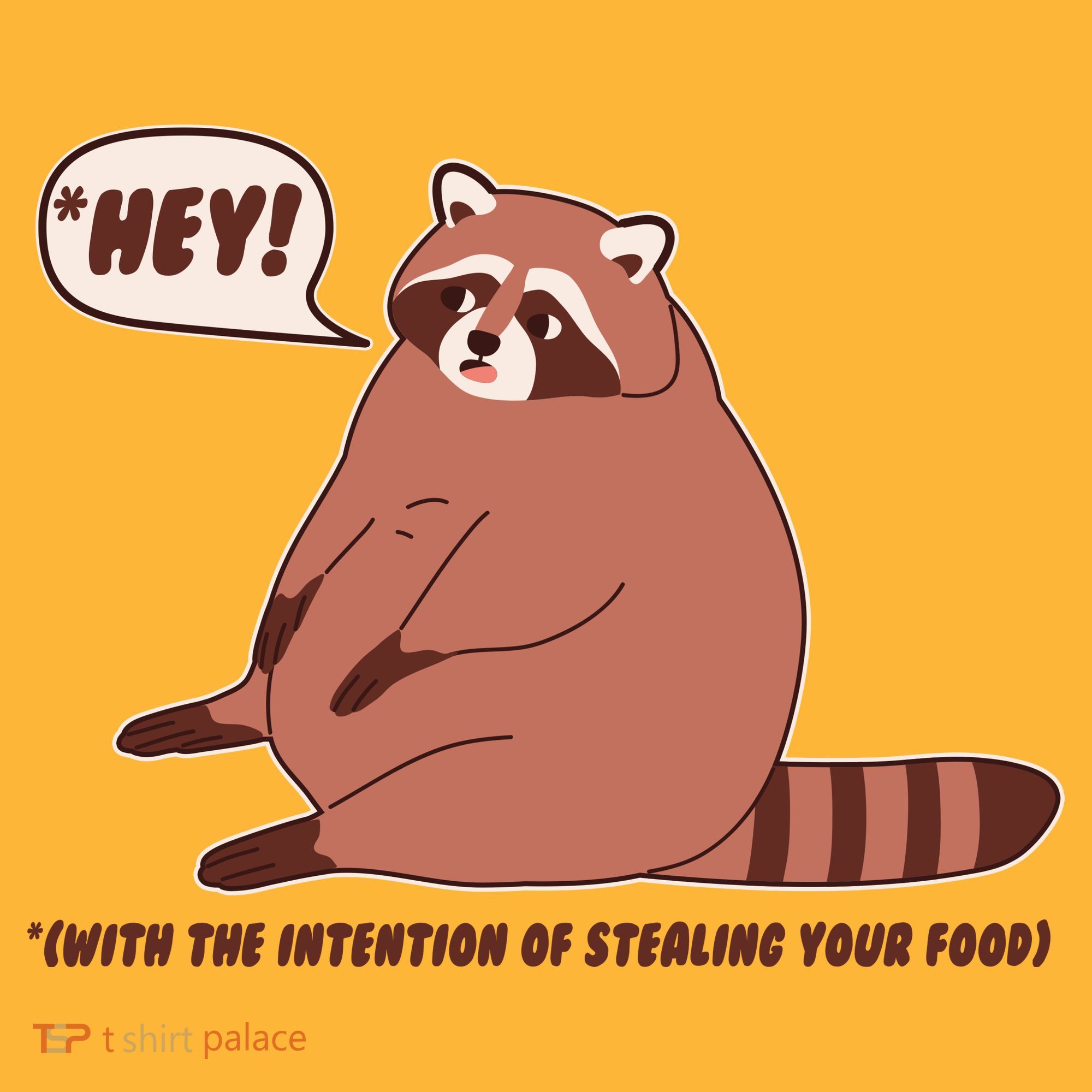 Funny Hey Fat Raccoon Stealing Your Food T-Shirt