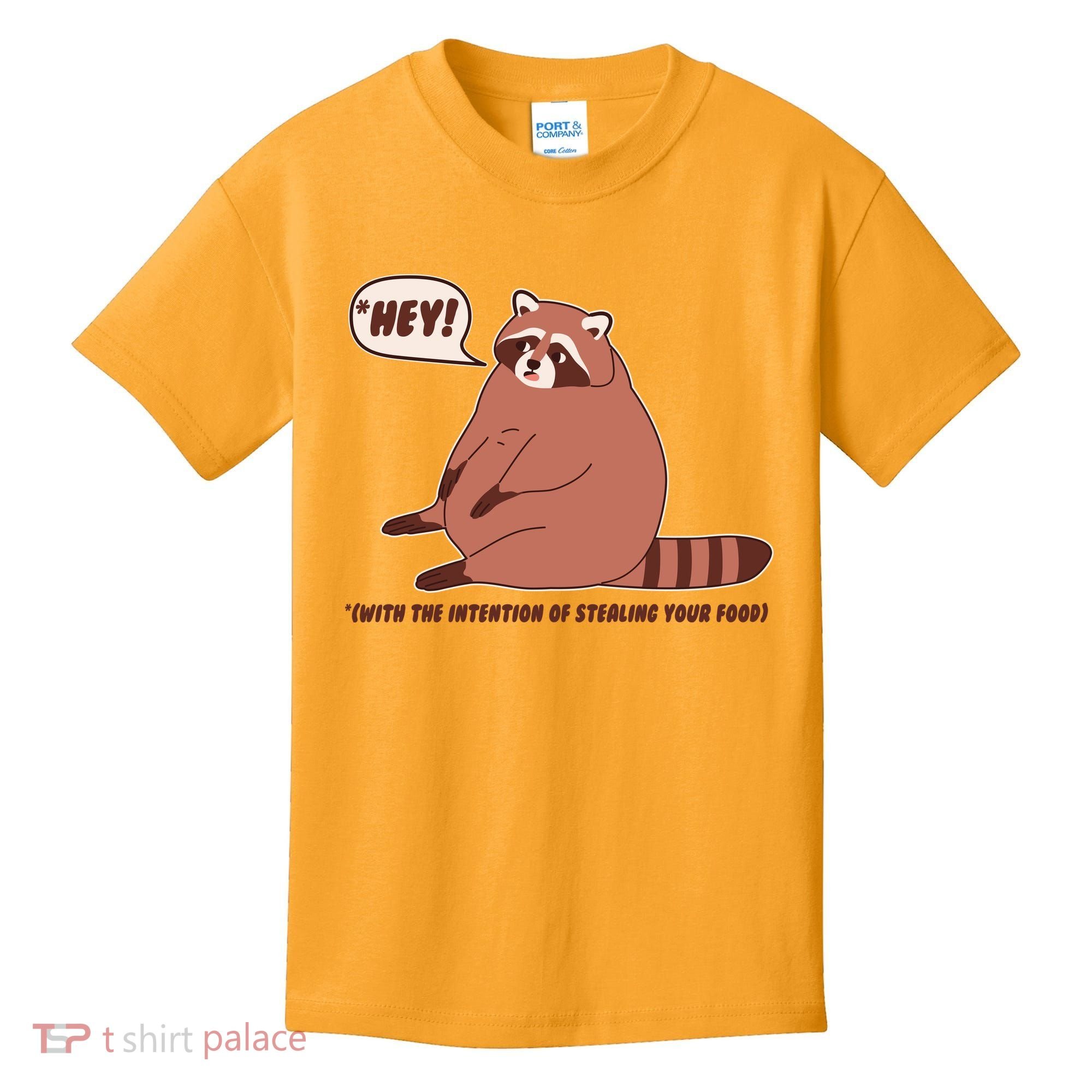 Funny Hey Fat Raccoon Stealing Your Food Kids T-Shirt