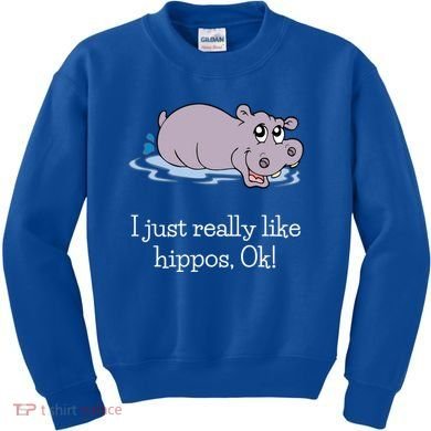 Funny Hippo Gift Just Really Like Hippos Ok! Hippopotamus Cool Gift Kids Sweatshirt