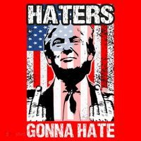 Funny Haters Gonna Hate President Donald Trump Middle Finger Santa Hat thumb 1