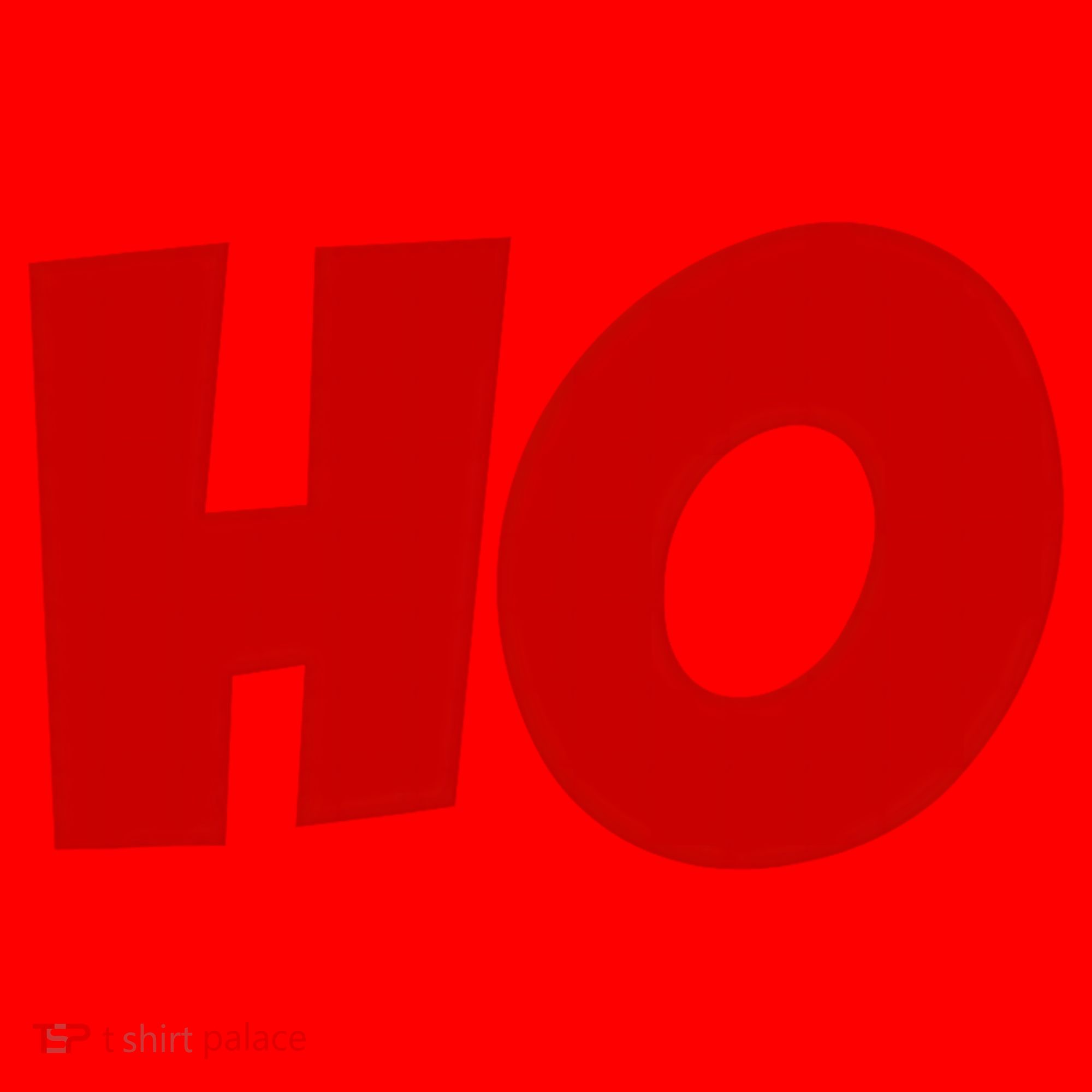 Funny Ho Ho Ho Christmas Matching Holidays Xmas Gift Santa Hat