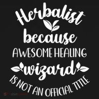 Funny Herbalist Herbalism Plant Medicine Gift Women's Hoodie thumb 2