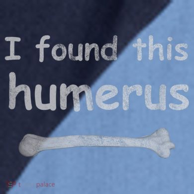 Funny Humorous I Found This Humerus Bone Raglan Baseball Sleeve Shirt