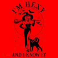 Funny Halloween I'm Hexy And I Know It Sexy Witch Santa Hat thumb 1