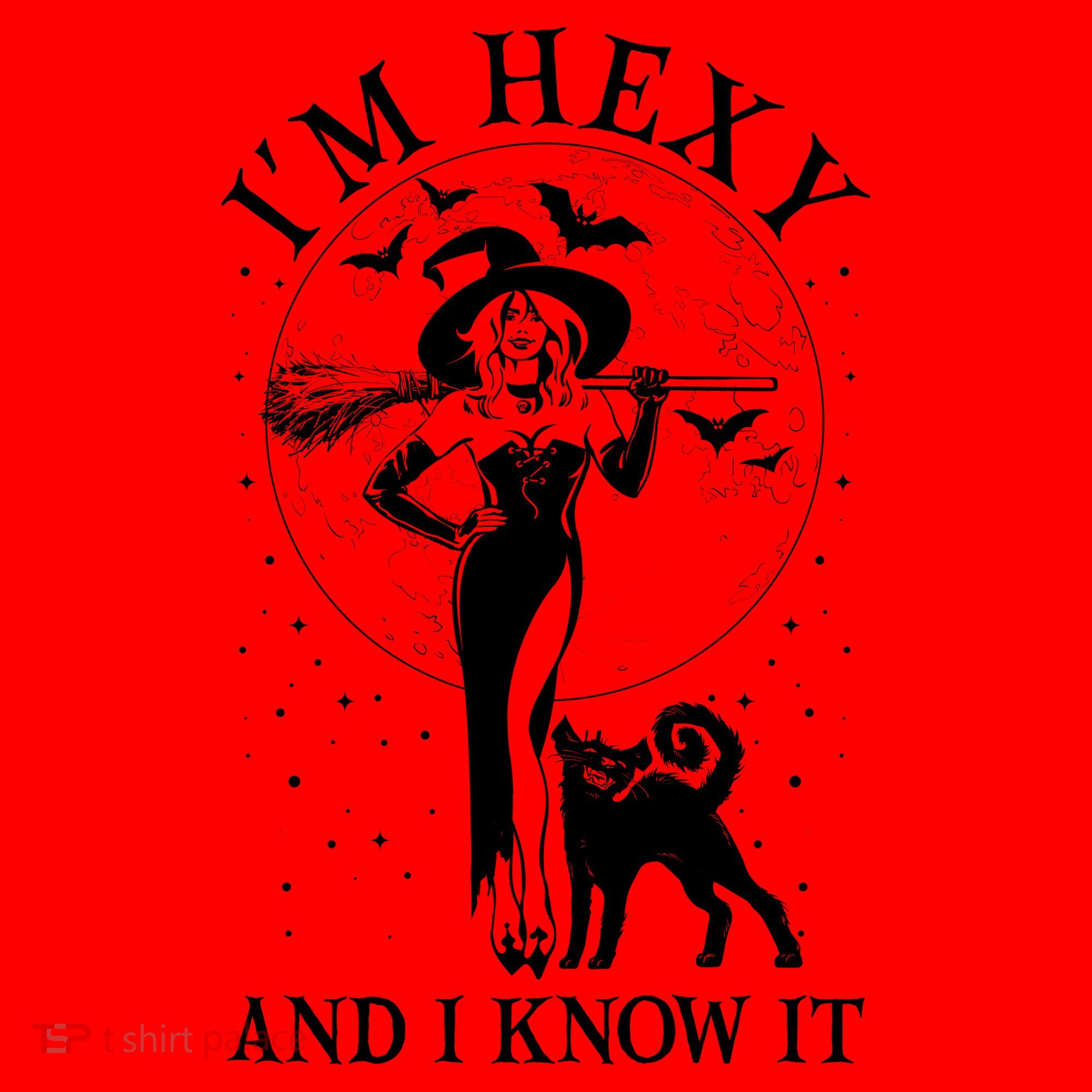 Funny Halloween I'm Hexy And I Know It Sexy Witch Santa Hat