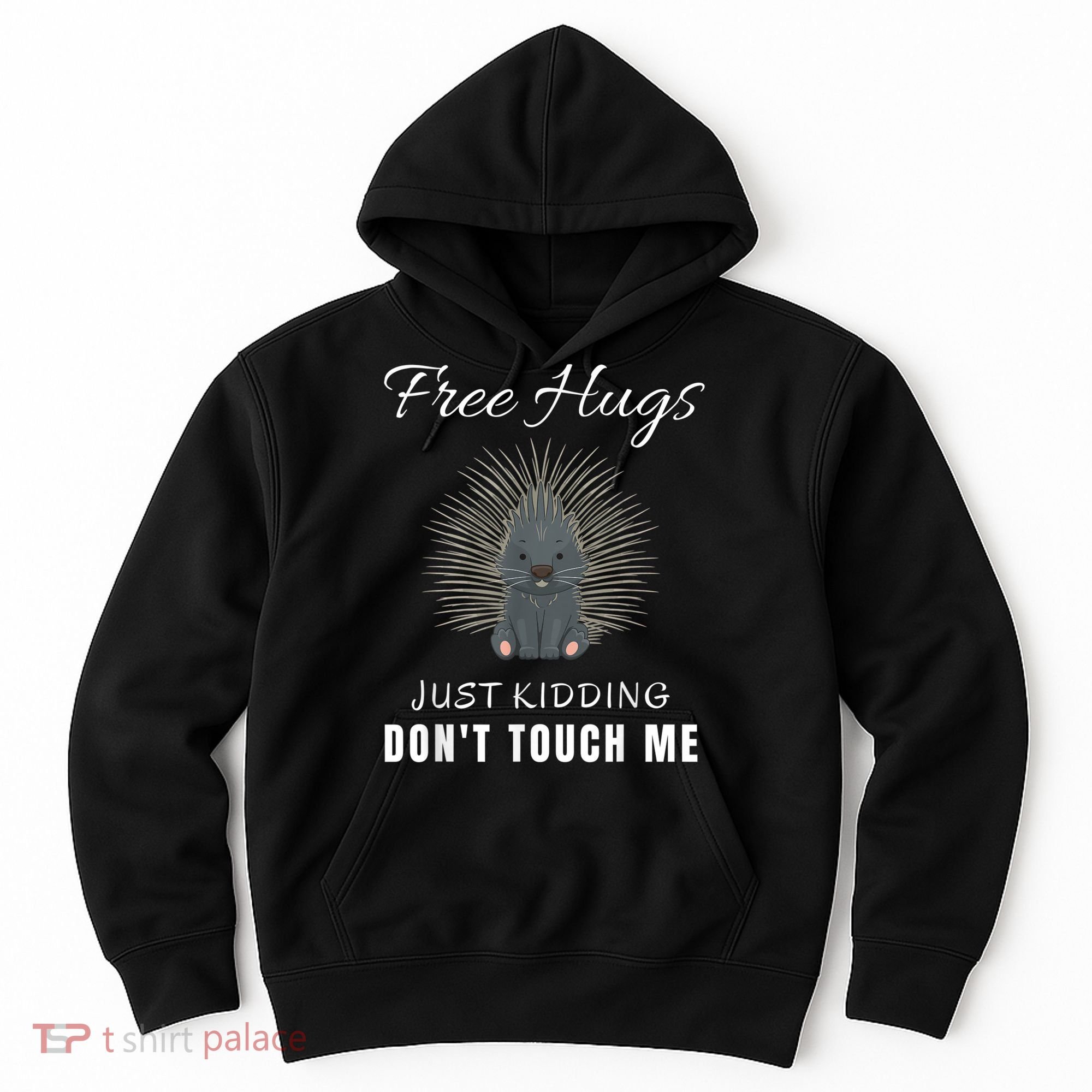 Free Hugs Just Ding Don't Touch Me, Porcupine, Introvert Hoodie