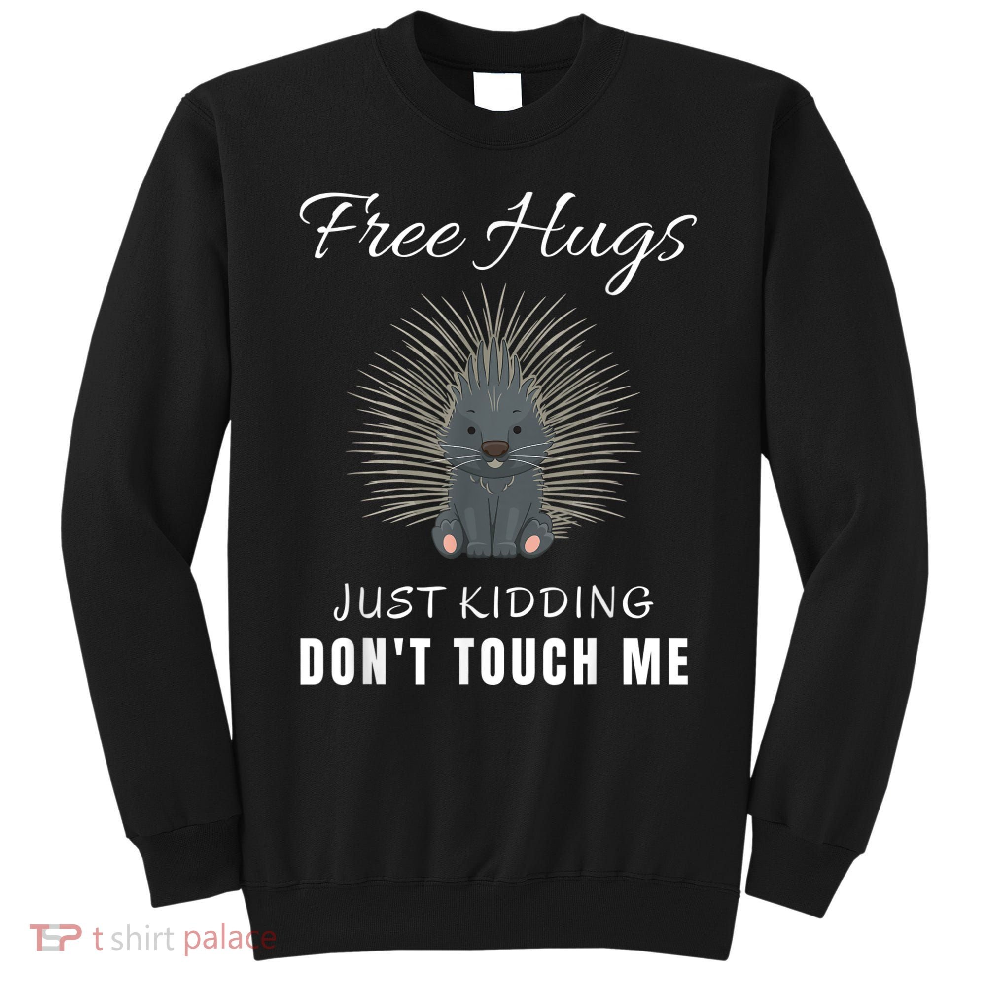 Free Hugs Just Ding Don't Touch Me, Porcupine, Introvert Sweatshirt