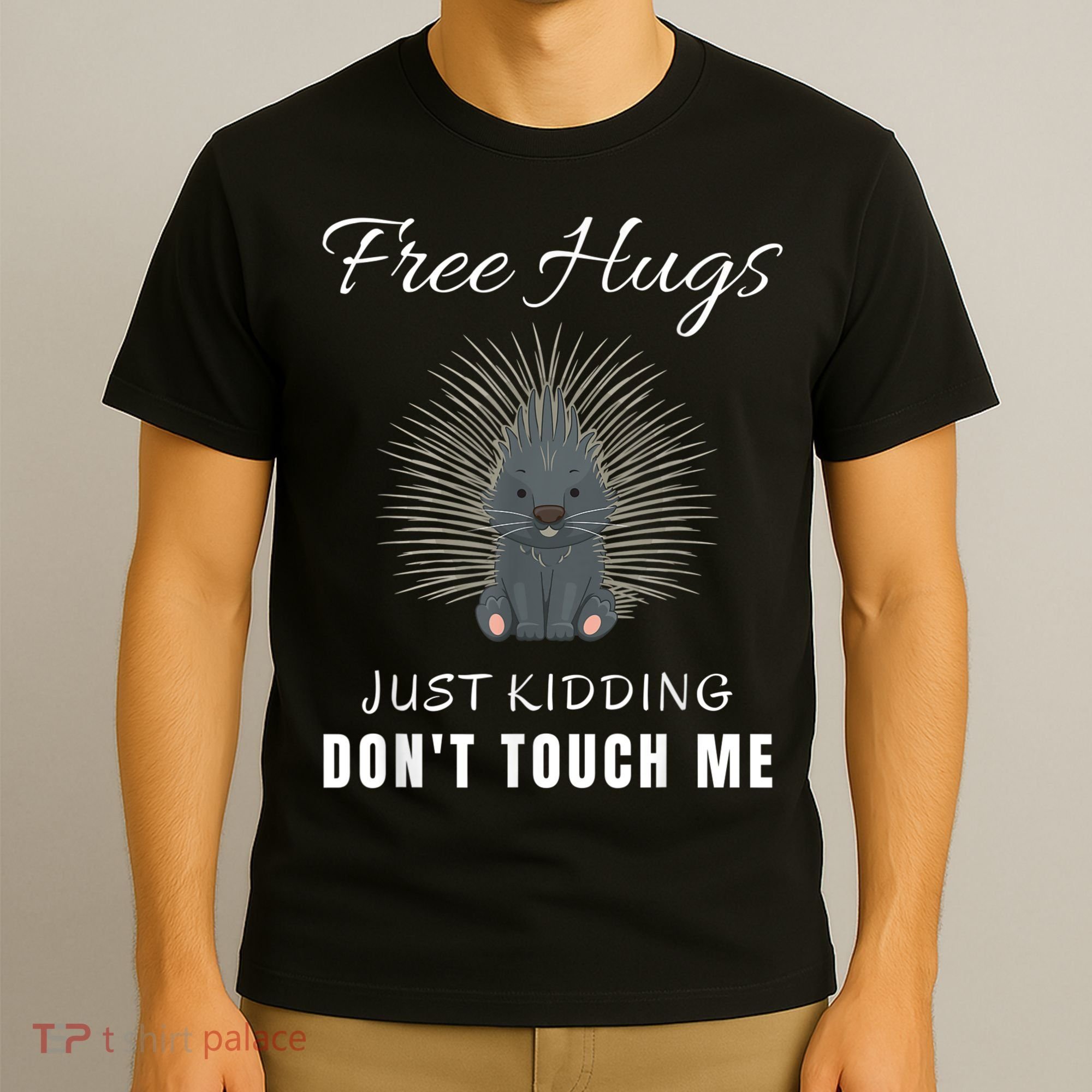 Free Hugs Just Ding Don't Touch Me, Porcupine, Introvert T-Shirt