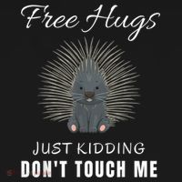 Free Hugs Just Ding Don't Touch Me, Porcupine, Introvert T-Shirt thumb 7