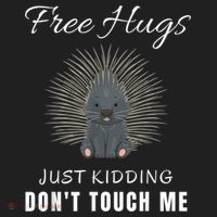 Free Hugs Just Ding Don't Touch Me, Porcupine, Introvert Hat thumb 2