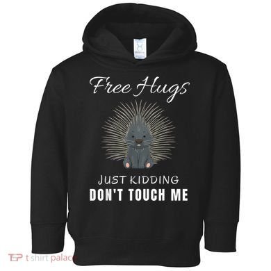 Free Hugs Just Ding Don't Touch Me, Porcupine, Introvert Toddler Hoodie