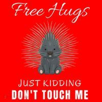 Free Hugs Just Ding Don't Touch Me, Porcupine, Introvert Santa Hat thumb 1