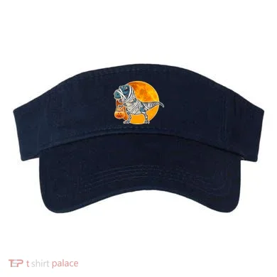 Visor