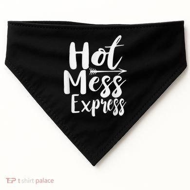 Funny Hot Mess Express Life Status USA-Made Doggie Bandana