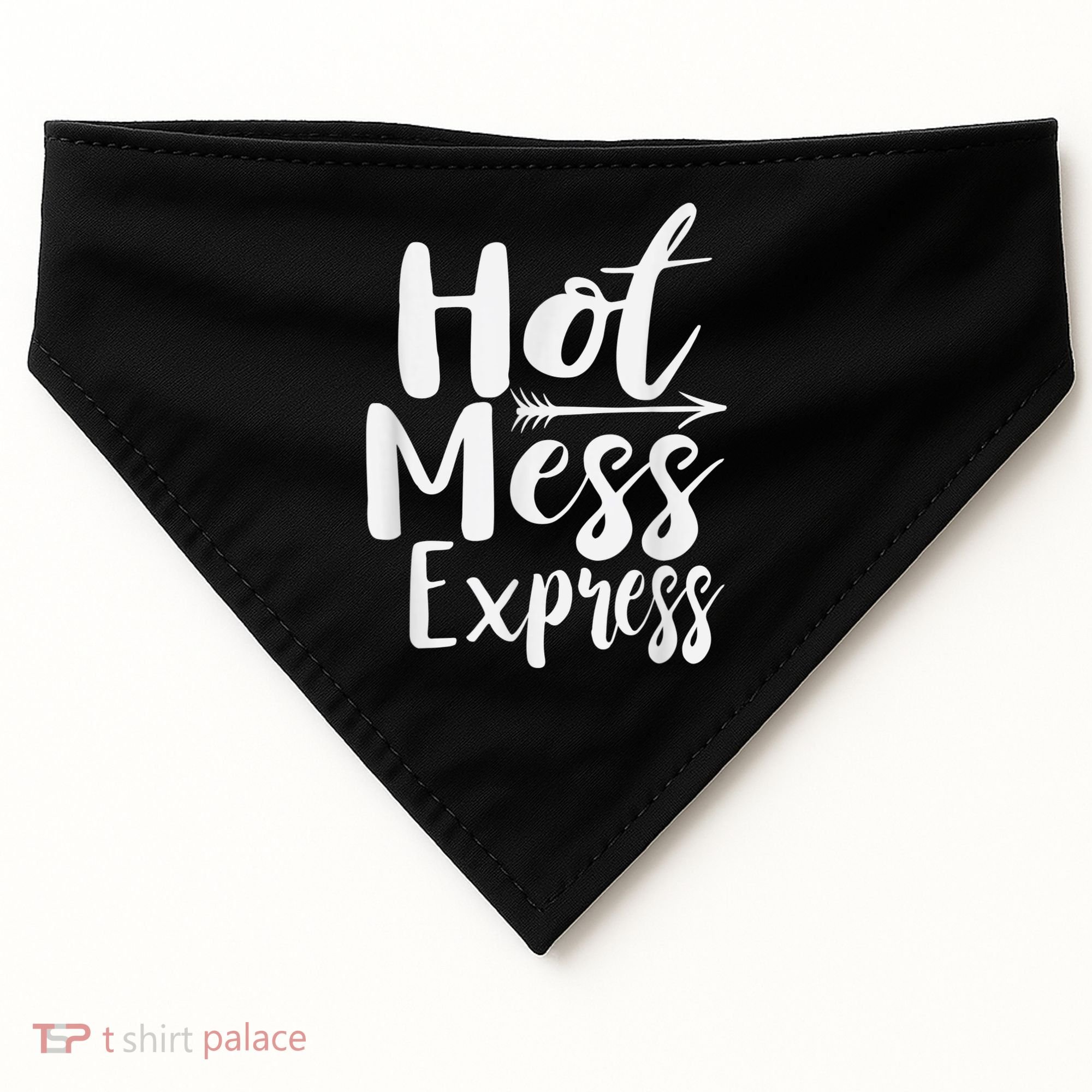 Funny Hot Mess Express Life Status USA-Made Doggie Bandana