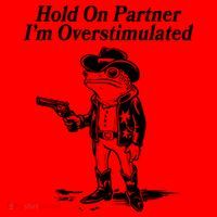 Funny Hold On Partner Im Overstimulated Western Cowboy Frog Toad Santa Hat thumb 1