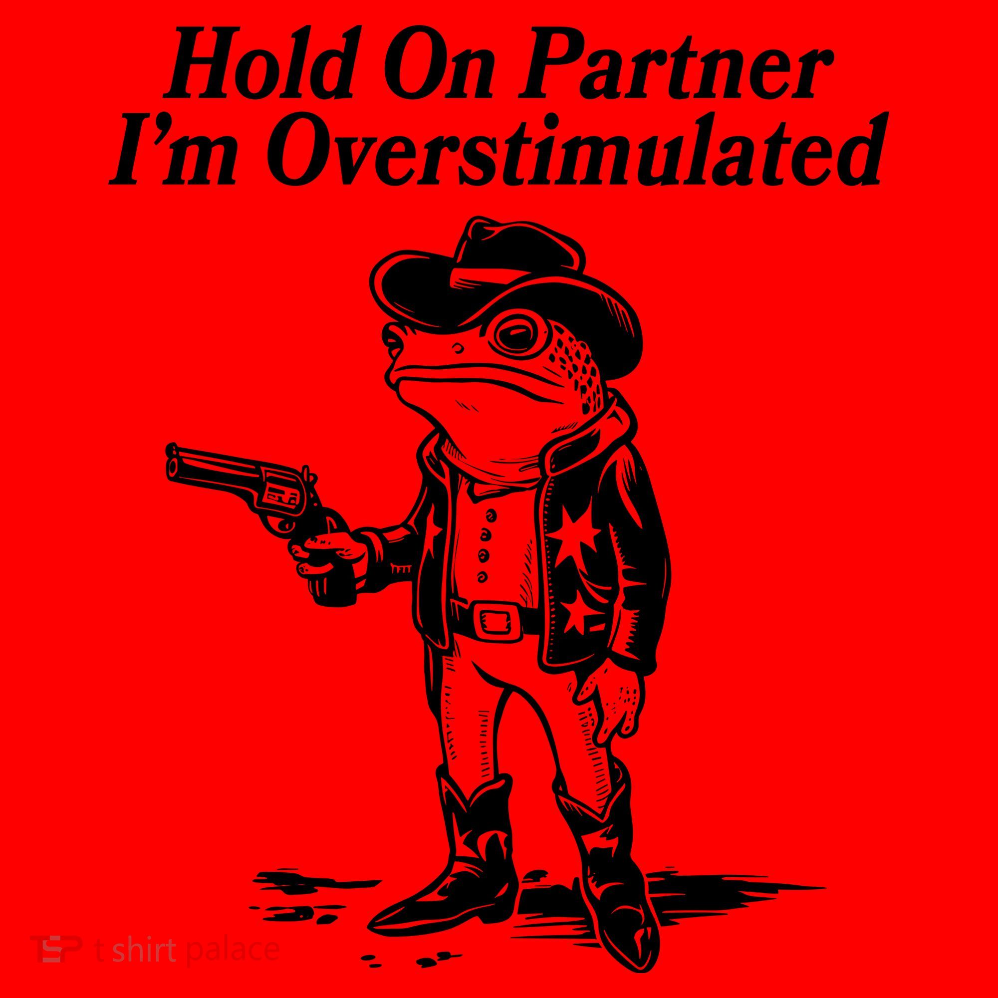 Funny Hold On Partner Im Overstimulated Western Cowboy Frog Toad Santa Hat