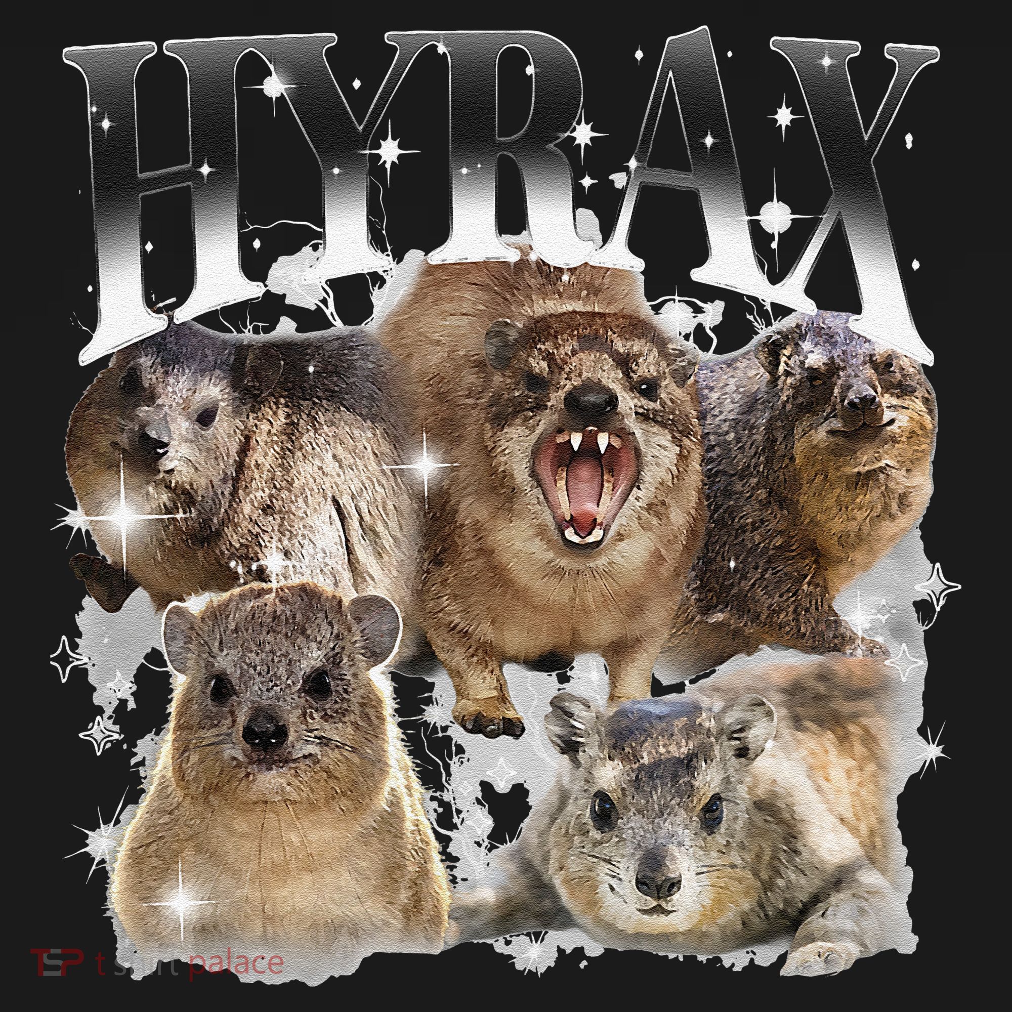 Funny Hyrax Oddly Specific Meme Animal For Family Women's Hoodie