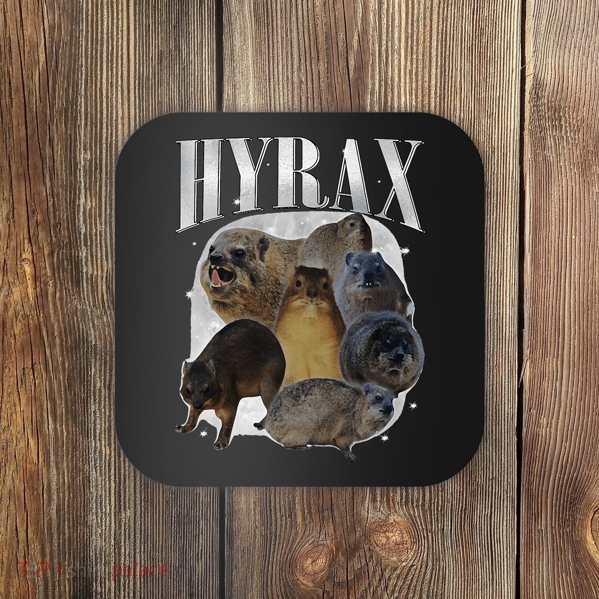 Funny Hyrax Oddly Specific Meme Animal For Family Coaster