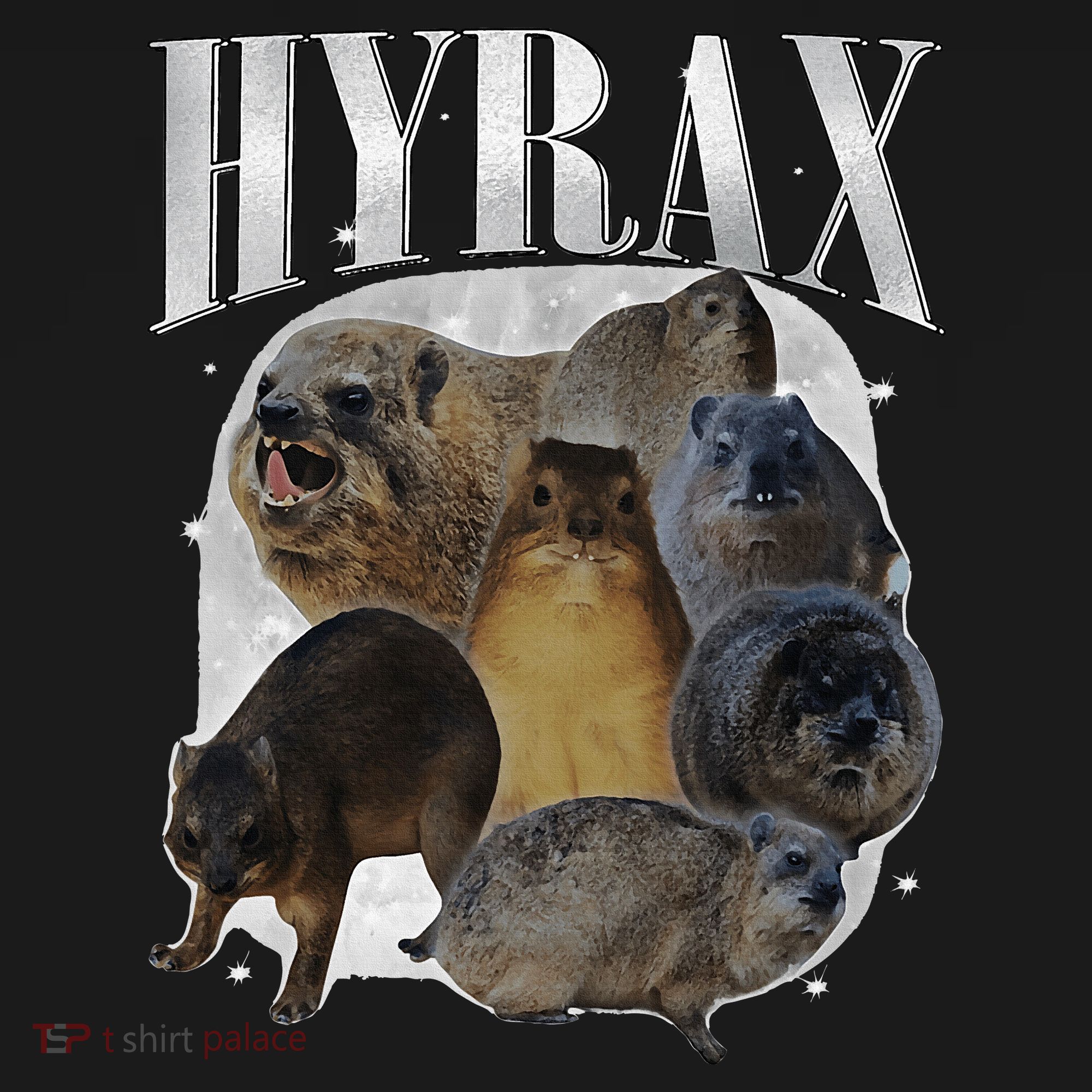 Funny Hyrax Oddly Specific Meme Animal For Family Women's Hoodie