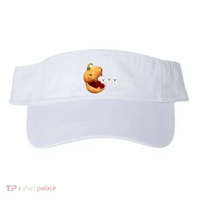 Visor