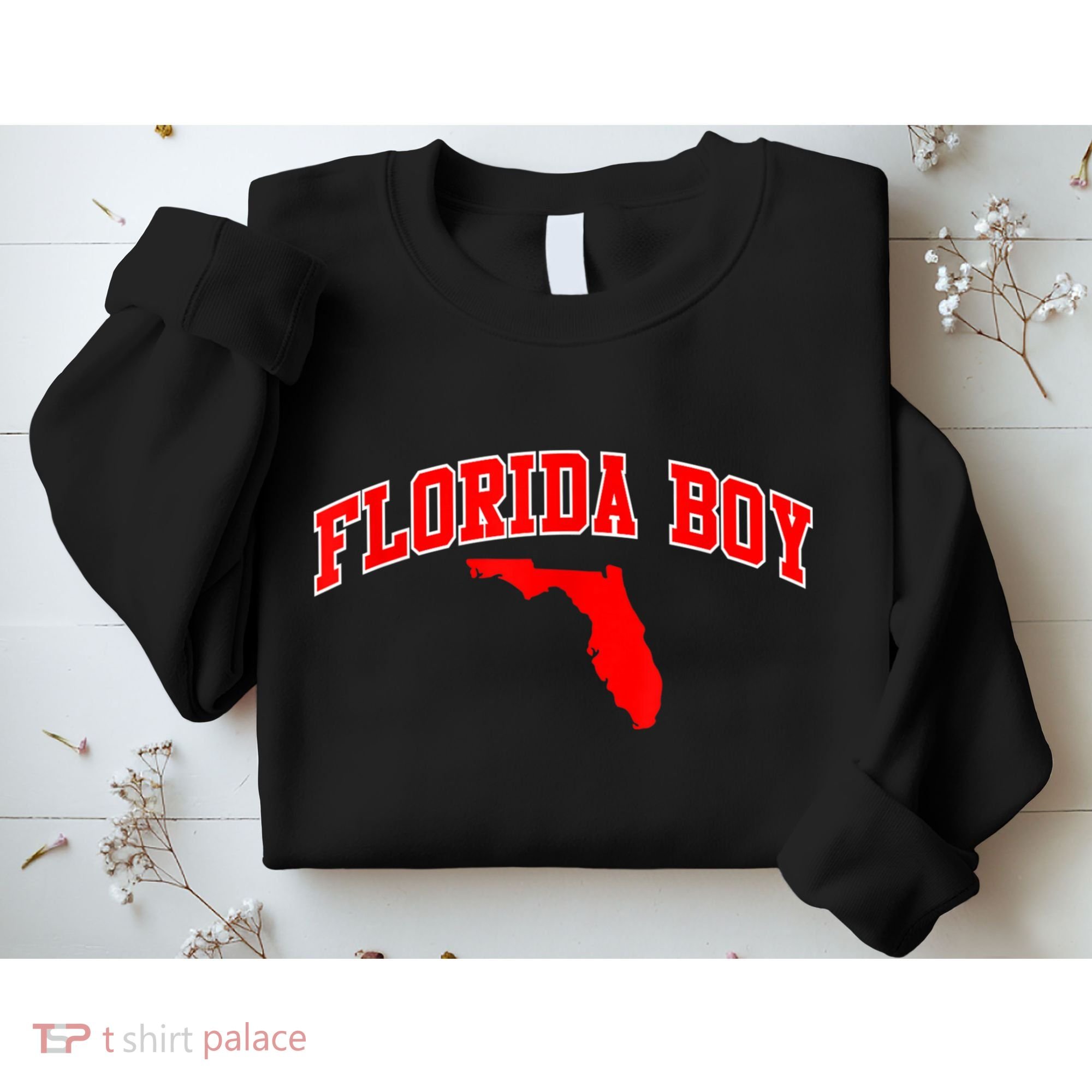 Floridian Home State Florida Boy Sweatshirt
