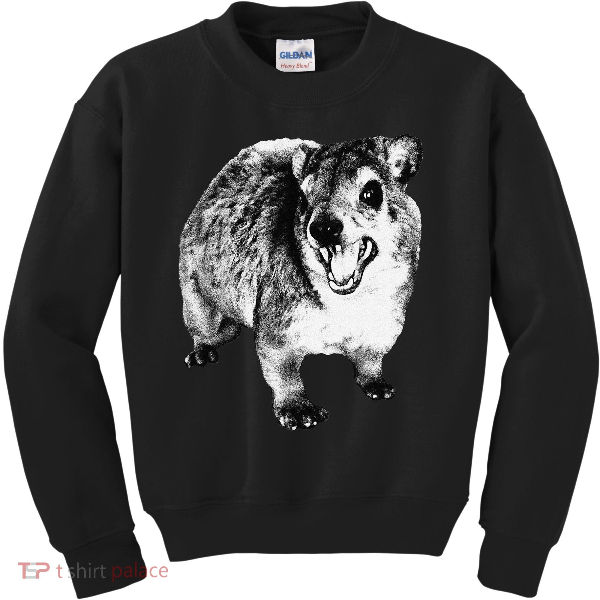 Funny Hyrax Specific Meme Kids Sweatshirt