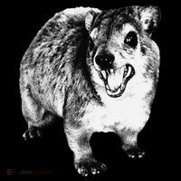 Funny Hyrax Specific Meme Tote Bag thumb 4
