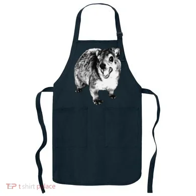 Apron