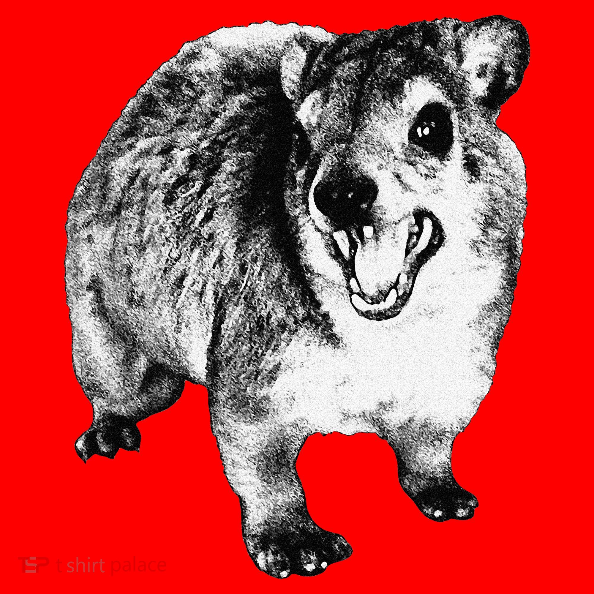 Funny Hyrax Specific Meme Santa Hat