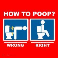 Funny How To Poop Pooping Position Santa Hat thumb 1