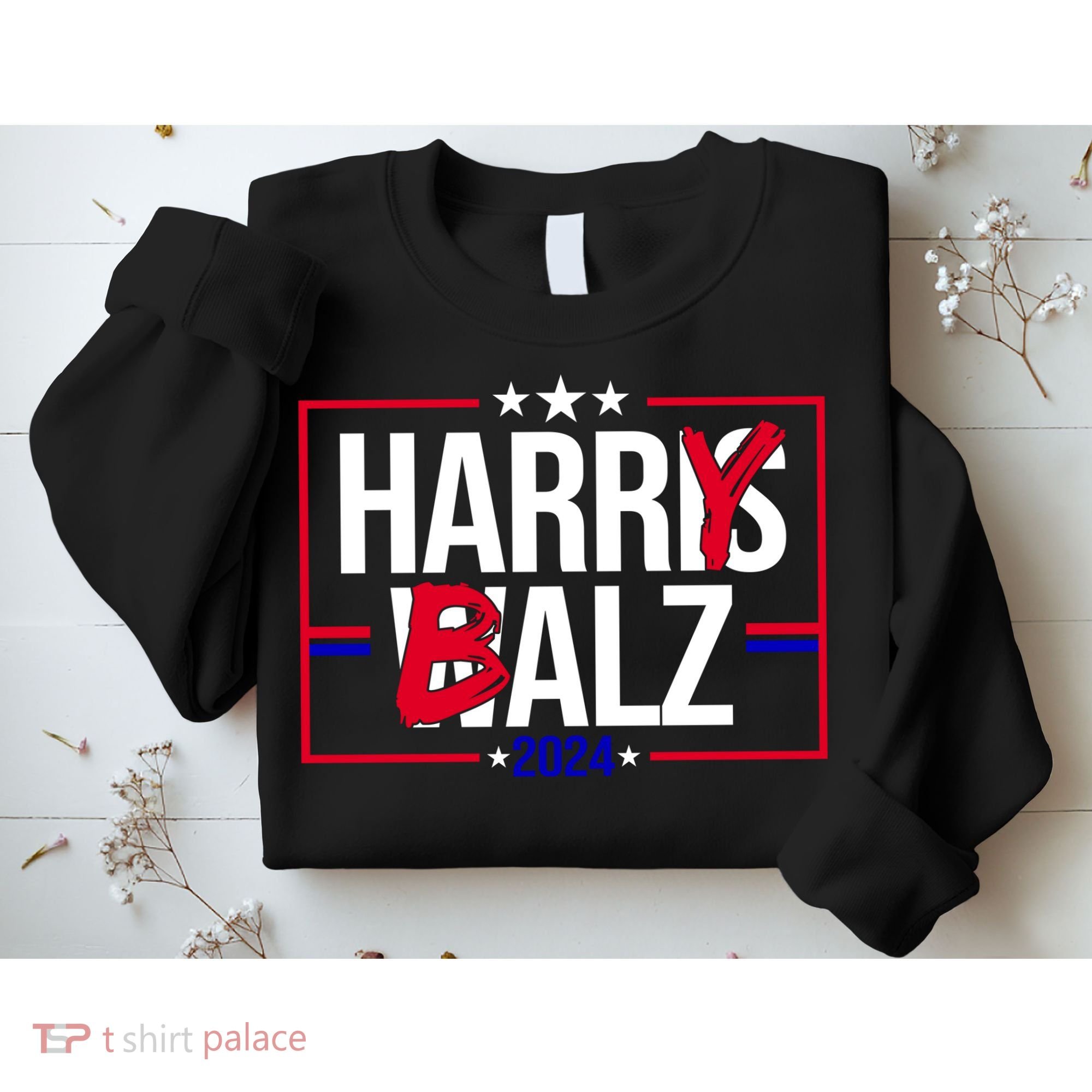 Funny Harris Walz 24 Harry Balz 2024 Political Meme Sweatshirt