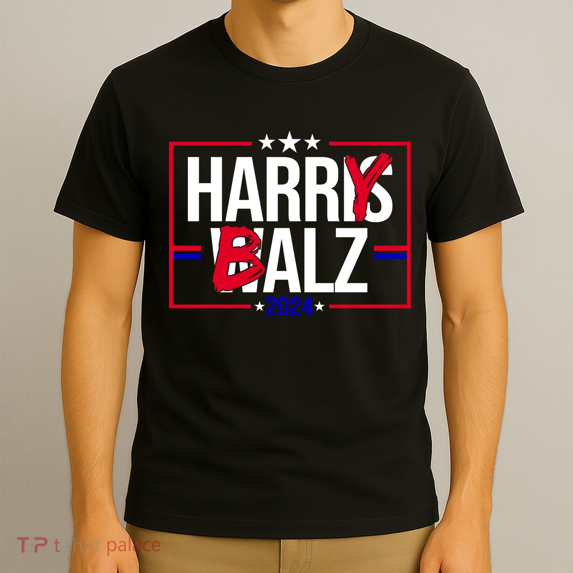 Funny Harris Walz 24 Harry Balz 2024 Political Meme T-Shirt