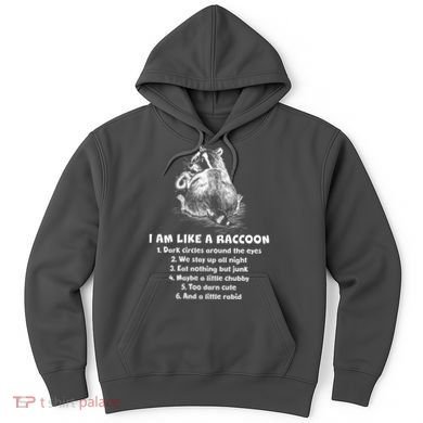 Funny I Am Like A Raccoon Hoodie