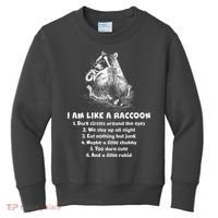 Funny I Am Like A Raccoon Kids Sweatshirt thumb 0