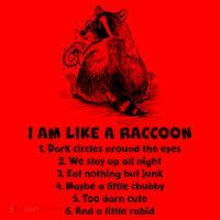 Funny I Am Like A Raccoon Santa Hat thumb 1