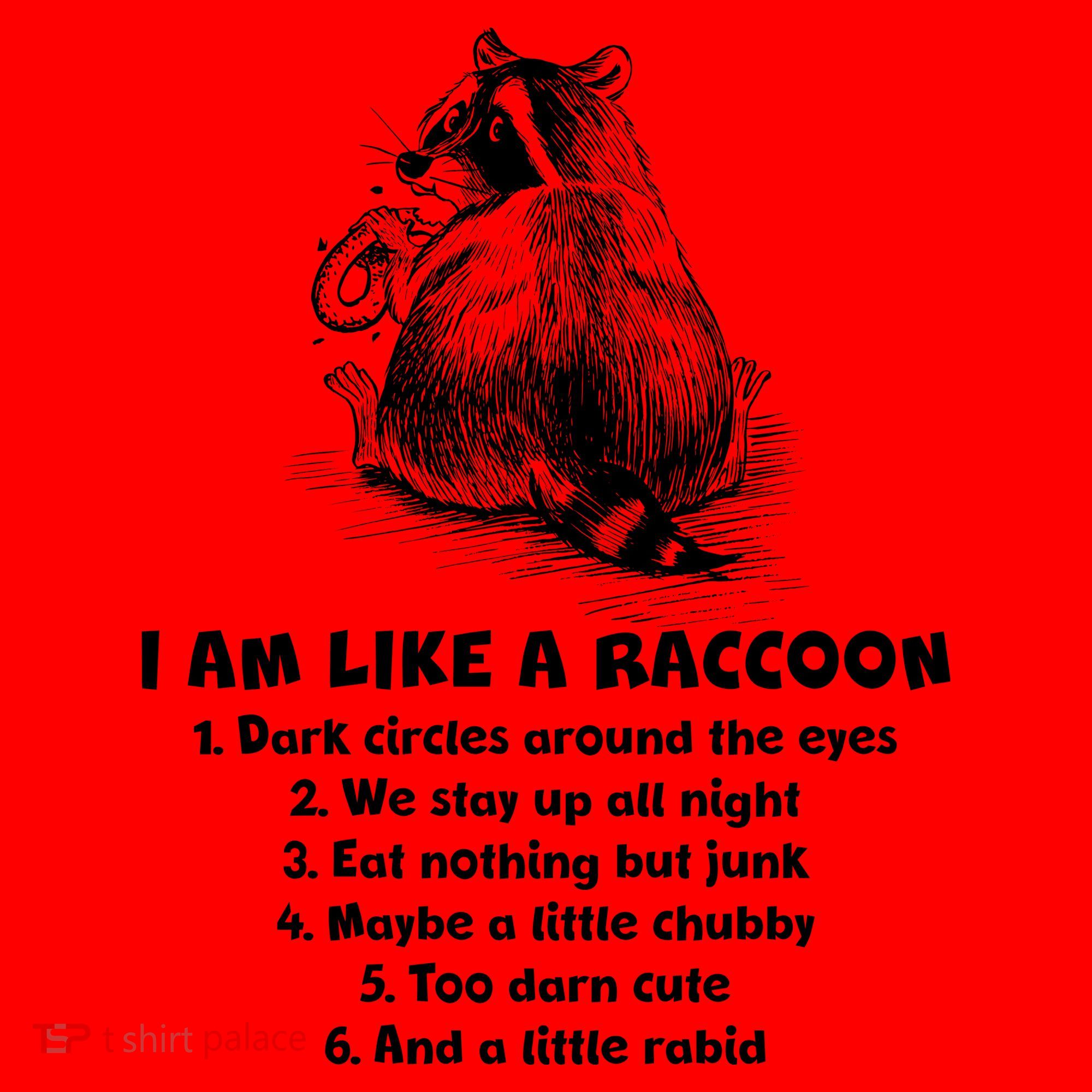 Funny I Am Like A Raccoon Santa Hat