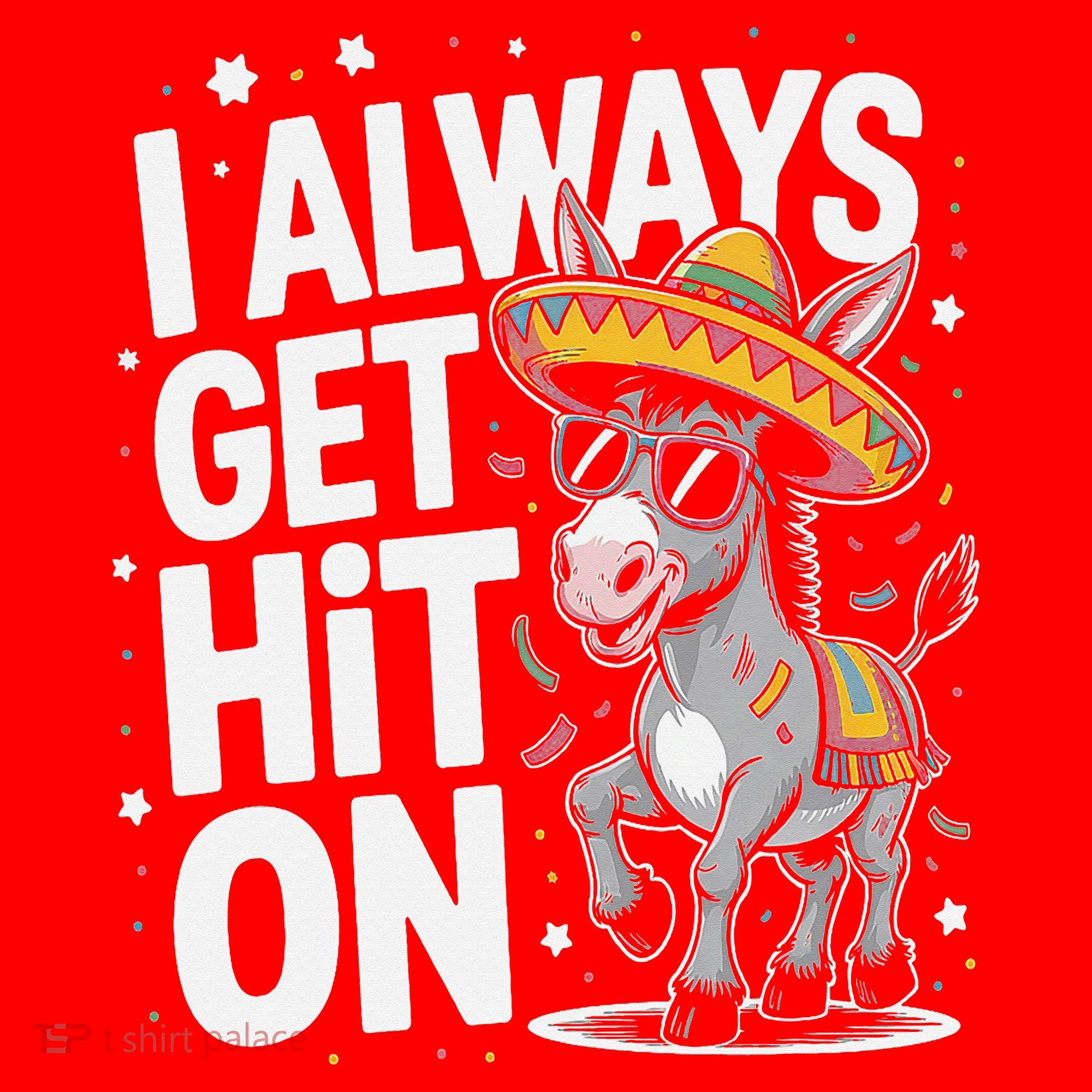 Funny I Always Get Hit On Pinata Cinco De Mayo Women Santa Hat