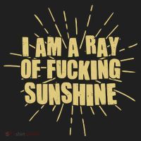 Funny I Am A Ray Of Fucking Sunshine Beanie thumb 2