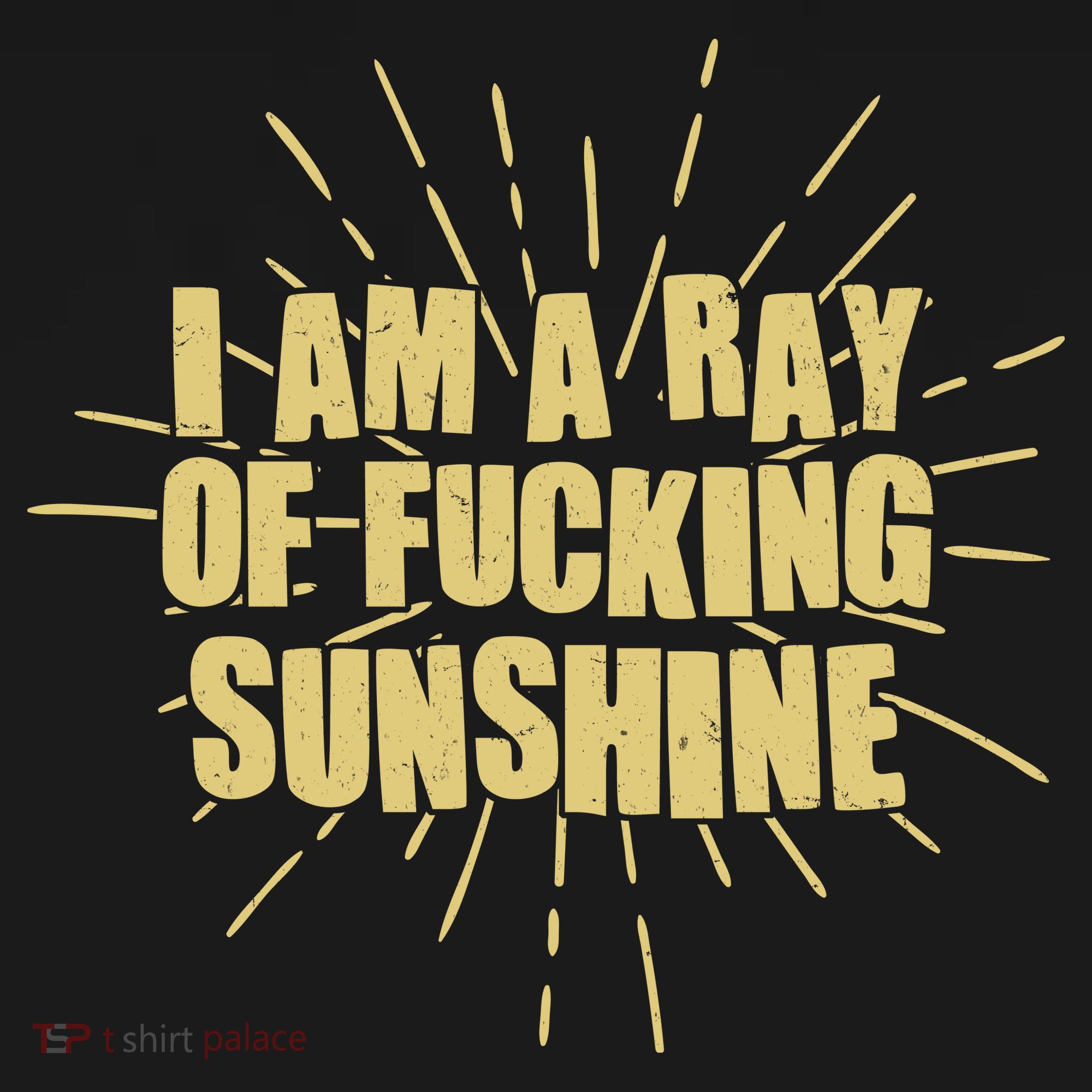 Funny I Am A Ray Of Fucking Sunshine Women's Hoodie