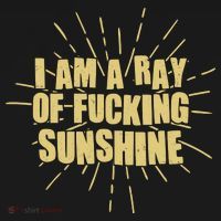 Funny I Am A Ray Of Fucking Sunshine Visor thumb 3